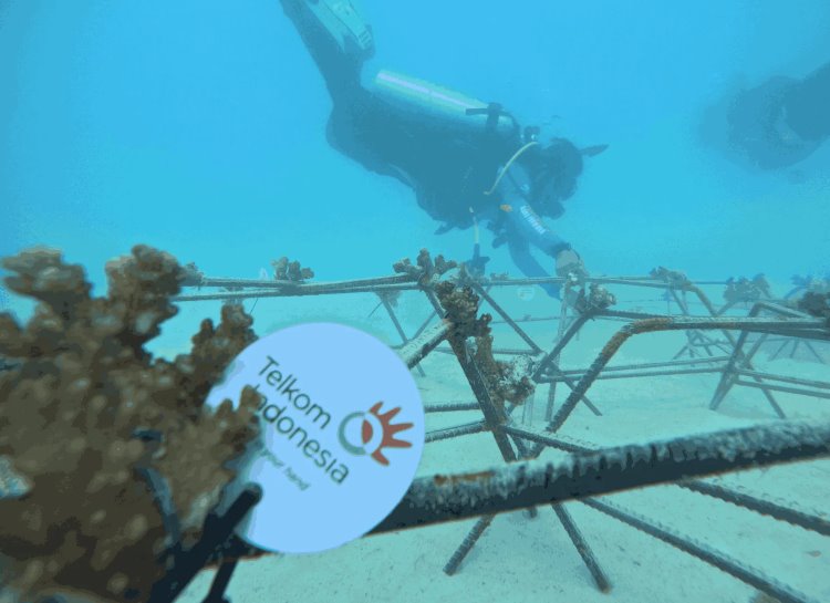 Telkom Jaga Ekosistem Pesisir Maluku