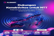 XLSMART Pulihkan Hampir Seluruh BTS Terdampak Gempa di Flores, NTT