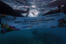TelkomGroup Tanam 2.000 Fragmen Karang di Kepulauan Seribu
