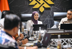 230 Juta Pengguna Internet Penopang Ekonomi Digital RI