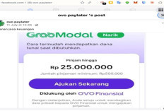 Waspadai 4 Modus Penipuan Paylater SCAM dan e-Wallet